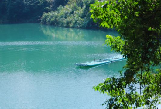 东莞观音山+松山湖+南社明清古村落一日游【私家小团上门接送】【私家旅行：一单一团，不拼客，专属旅行； 品质服务：5车上门接送，专职司机护航】