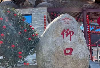 青岛崂山赶海一日游【精品亲子/2-6人小团/纯玩】【[定制赶海 趣味体验]升级赶海体验，免费提供赶海工具，体验亲手挖嘎啦，抓螃蟹的乐趣！】