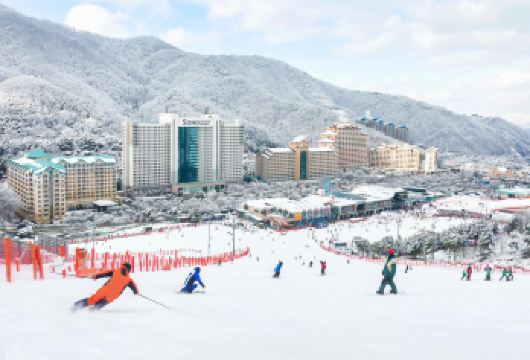 韩国洪川大明维瓦尔第公园滑雪世界+南怡岛一日游 (首尔出发)【洪川大明滑雪世界｜雪道分多等级，结合自然景观与偶像剧《蓝色海洋的传说》拍摄背景，尽享冬季滑雪乐趣。】