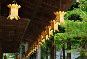 日本大阪-和歌山-白滨一日游12h-可关西周边日本全境/包车【包车一日游，解锁旅行新方式！独立车辆配备经验丰富的老司机，为您量身打造专属行程。】