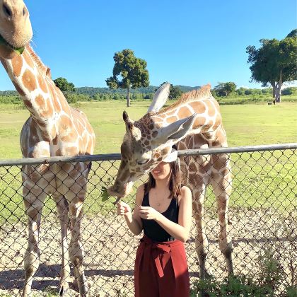 科隆岛、卡劳伊特岛野生动物园和黑岛一日游