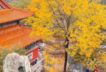 白瀑寺徒步1日游【免门票+北京版黑神话+徒步】【免门票徒步活动】