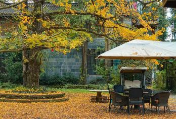 腾冲火山公园+银杏村+土陶非遗+下午茶秋趣非遗一日游【[贴心服务]高品质服务，轻奢1日游，海底捞式服务， 省时、省事、省心】