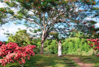 西双版纳热带植物园+傣族园一日游【泼水狂欢┃探索热带雨林】【[质量保障]本地国旅一手操作，我们用心，游客放心，正规旅游巴士，伴您安心出游。】