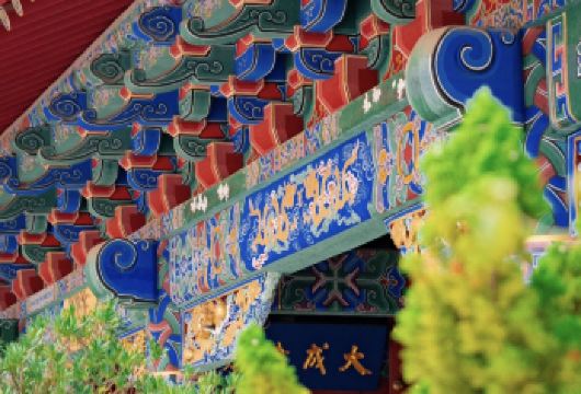 【时空折叠机：从儒家晨光到湿地鎏金】一日漫游【专属车辆连缀时空，全程享受“快进键”与“暂停键”的自由】