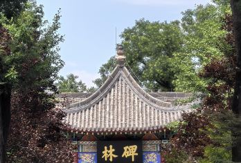 陕西西安博物院+钟鼓楼+碑林博物馆+曲江池一日游可英文服务【可提供英文及小语种导游服务-往返接送-可选导游-可代订门票】