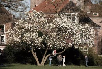 德国柏林埃伯斯瓦尔德一日游【植物园夏季露天音乐会、保护区环湖步道、博物馆感官互动，全方位感受 “森林之城” 魅力。】