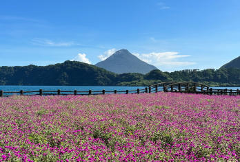 日本鹿儿岛B线拼团一日游【指宿线】【正规绿牌运营车服务，安全、售后都有保障】