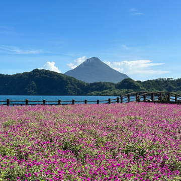 日本鹿儿岛B线拼团一日游【指宿线】