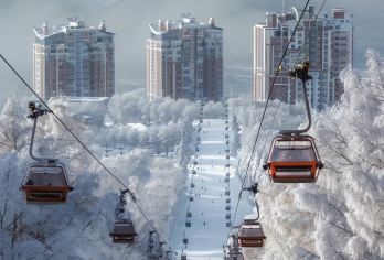 亚布力西站-雪乡-亚布力西站 一日游【拼车|2人起订】【服务时间：本产品为中文司机专车出行，服务时长为10小时，包括往返接送，景点参观及用餐时间；】