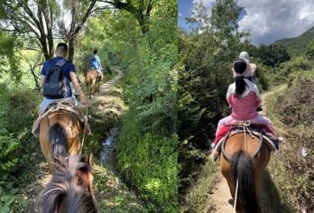 拉市海茶马古道骑马一日游【可定当天整点发团含划船会所二选一】【8-13整点发团；所有套餐包含：骑马+午餐+花花色玫瑰庄园或者醉美海岸庄园二选一门票+划船+往返车费】