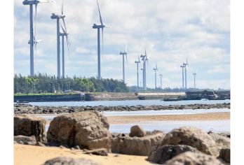 广东湛江徐闻菠萝的海+南极村+灯楼角一日游 | 主推产品【[品质优选]优质服务，小团出行，避免人多拥挤，专业司导，可针对团建定制餐饮、活动服务等】