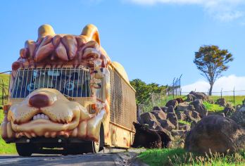 日本大分九州自然动物园一日游：动漫童话小镇&动物互动之旅【乘狩猎巴士近距离喂食猛兽，亲子互动超欢乐】