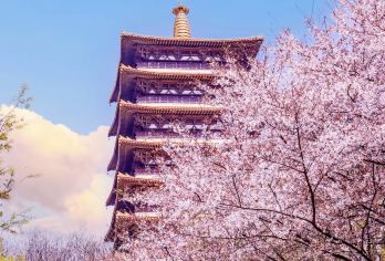 夫子庙+乌衣巷+秦淮河+白鹭洲+江南贡院+甘家大院一日游 G【全程中文/英文/俄语/小语种服务，沟通无障碍，景点可调,多种车型可选】