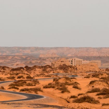 大海道一日游【日落版丨市区免费接送】