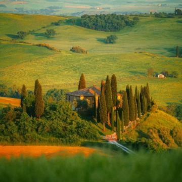 【文学历史】英国伦福尔摩斯博物馆+汉普顿宫+植物园包车一日游