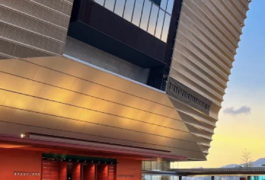 香港故宫文化博物馆+西九龙【7小时包车+向导，可自定义行程】【司机专业​：本地司机熟悉路况及景点，节省时间】