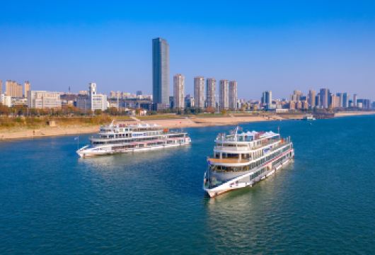 宜昌两坝一峡游船+三峡大坝一日活动【含汉口-宜昌往返动车】【承诺无购物，拒绝鸡肋景点，质量保证用心服务！】