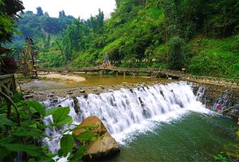 从沙巴出发的猫猫村半日导览游【与沙巴*古老的黑苗族社区互动，亲身探索他们源远流长的文化和传统价值观！ 参观旧水力发电站，欣赏壮观的猫猫瀑布！ 探索精美的手工锦缎制品，包括手镯、围巾和服装，展现黑苗族的精湛工艺！】