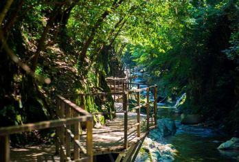 蓬莱仙洞 + 醉山野一日游【探溶洞踏翠山野◆2-8人小团 】【漫步醉山野碧潭幽谷，探寻蓬莱仙洞石韵洞天。2-8 人精致小团，纵享奇幻自然之旅。】
