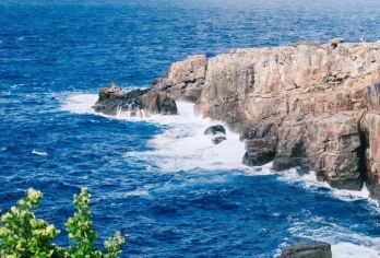 日本大阪-和歌山-白滨一日游12h-可关西周边日本全境》包车【包车一日游，解锁旅行新方式！独立车辆配备经验丰富的老司机，为您量身打造专属行程。】