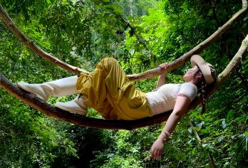 西双版纳基诺山雨林徒步【雨林大餐/射箭/秋千/竹筏/树降】【[精品纯玩]纯玩，无任何隐形消费；零距离接触大自然，与家人朋友一起深入雨林探险】