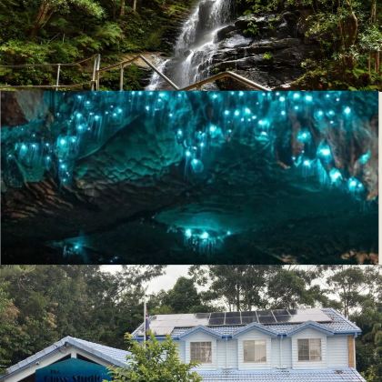 黄金海岸秘境·天宝林山萤火虫奇幻一日游