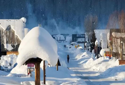 哈尔滨中国雪乡+大秃顶子山一日游【VIP6人小团赠马拉爬犁】【亚布力西站起止雪乡一日游’2026 全新升级‘自家车辆发团不转卖团 不刷销量 不刷评价 不做虚假低价】