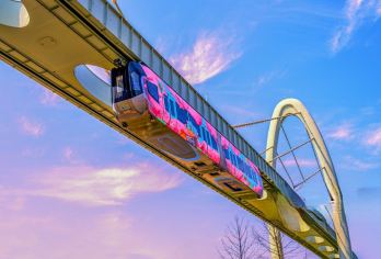 【私家团-懒睡】光谷空轨+东湖绿道+黎黄陂路+古德寺一日游【[行程特色]深度游武汉-包车轻松游-可协商景区】