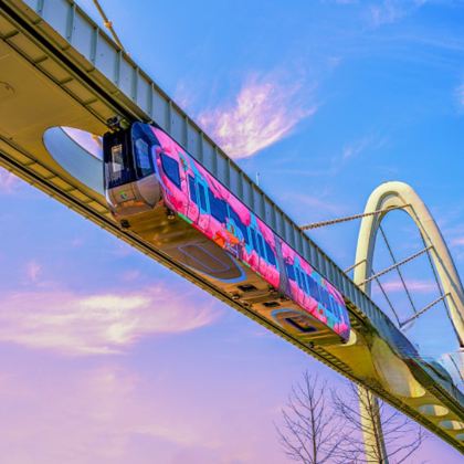 【私家团-不起早】光谷空轨+东湖绿道+黎黄陂路+古德寺一日游