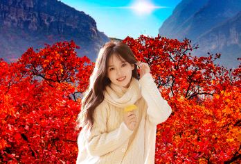 坡峰岭一日游【红叶正当时+赠红叶标本】纯玩周边游|错过等一年【体验漫山红叶，丛林小径，享受大自然给予我们的色彩斑斓的馈赠】