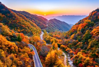 巴中往返：米仓山国家森林公园一日游—— 赏漫山红叶【可选英文导游|专车接送|行程可调|可定制行程】