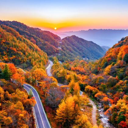 巴中往返：米仓山国家森林公园一日游—— 赏漫山红叶