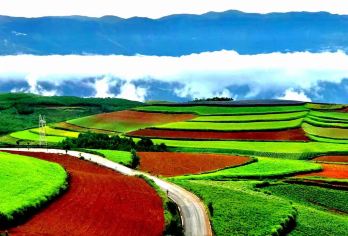 昆明东川红土地一日游【网红爷爷合影+精致小团+二环上门接】【[当地土著领队]原创专线，懂历史，会讲解，拍得了美拍，做的了网红，带您玩转红土地；】