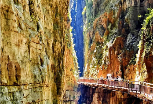 武陵山大裂谷+816工程纯包车1日游|上门接送|可代订门票【包车游玩一日[按车算价]+有服务意识的向导司机，并非只送景区的开车司机；联系客服可代订门票】