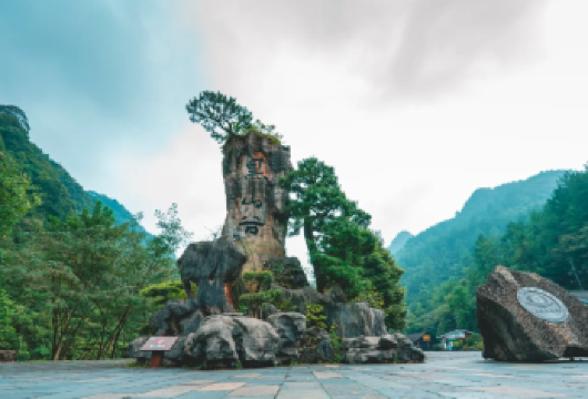 重庆黑山谷风景区一日游【包车游+上门接送+纯玩无购物】【[优势亮点]私家团、ViP一单一团，不拼车，不拼人，专车专用，属于专属空间。】