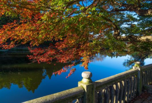 庐山山顶一日活动【美庐别墅+如琴湖+仙人洞+石门涧】九江往返【纯玩无购物】