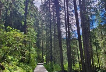 松潘牟尼沟一日游【松潘古城/松潘站-牟泥沟景区往返拼车游】【扎尕瀑布|二道海】