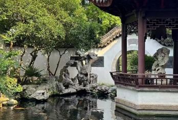 上海包车一日游+朱家角古镇+外滩夜游+自助晚餐【外滩黄浦江夜游+自助晚餐 沉浸式体验百年水乡 全程专车及导游】