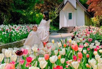 京畿道| 南怡岛 x 小法国村 x 意大利村 x 晨静树木园【怡岛唯美自然景，四季皆有不同风貌。林荫小道、湖畔风光令人陶醉，是韩剧《冬季恋歌》拍摄地】