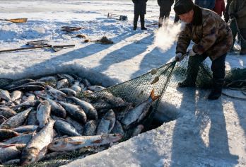 【亲子冬捕！限定】吉林长春查干湖+冬捕节1日包车+司导【见万尾鲜鱼破冰而出的名场面，在零下25度的冰面上喝刚出锅的鱼汤喝啃鱼丸】
