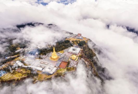 成都出发：峨眉山金顶+云海奇观包车一日游【朝拜十方普贤金像，尽览云海、佛光等自然奇观。】