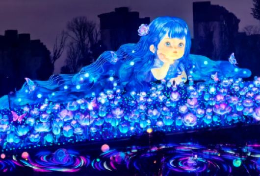 自贡灯会+仙市古镇一日游【宜宾往返 | 门票全含+城区接送】【[门票全含·纯玩无购物·无自费]直达园区，一站式省心出游】