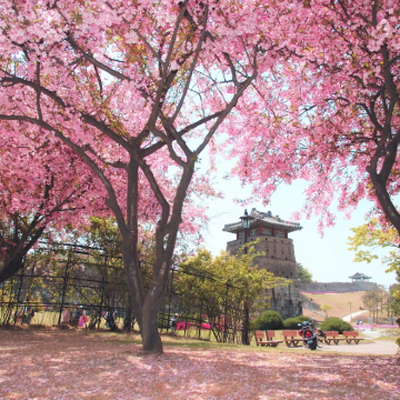 【探秘水原华城】韩国民俗村+八达门+华城行宫+光明洞窟