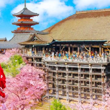 京都&宇治一日游丨金阁寺+清水寺+平等院+猴子神社+二三年坂