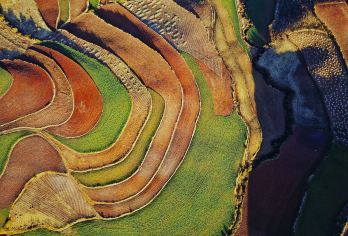 昆明出发的东川红土私人探险之旅——见证大自然的杰作【与团体旅游不同，这次私人旅行可以让您定制行程，在风景名胜区停留更长时间，并避免人潮拥挤。 您的私人导游将带您深入了解该地区的地理、文化和历史，让您的旅程既富有教育意义又令人难忘。 五彩斑斓的田野是摄影的理想背景。无论你是专业摄影师还是业余爱好者，都能在这里找到**的拍摄角度。】