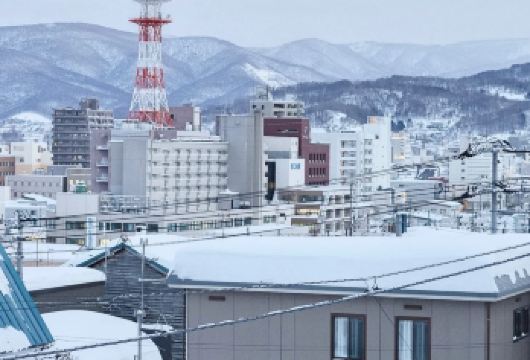 日本札幌往返大雪山国家公园-可小樽登别富良野北海道包车-精选【包车一日游，解锁旅行新方式！独立车辆配备经验丰富的老司机，为您量身打造专属行程。】