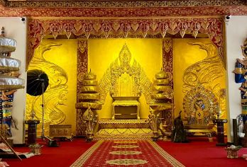 西双版纳野象谷+曼听御花园+总佛寺+星光夜市一日游中英文服务【野象谷邂逅亚洲象，星光夜市品六国味，御花园回溯傣王史，佛寺金辉映版纳。】