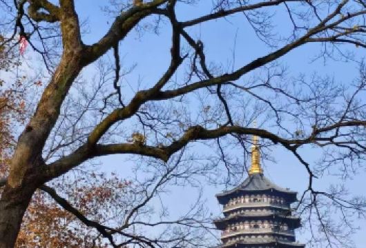 【西湖风景名胜区 +游船＋灵隐寺飞来峰雷锋塔纯玩一日游】【杭州风情，醉美西湖畔，让人流连忘返。.漫步杭城小巷，重温江南旧梦里的温柔时光。】