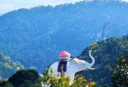 锦州青岩寺风景区一日游【歪脖老母  跟团赠送老母金卡】【[专业导游]导游讲解，正规团队绝无强制消费！】